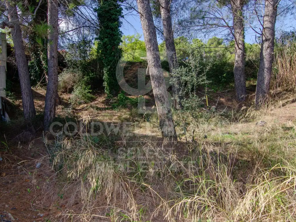 Terreny residencial en venda a Bellaterra, imagen 9