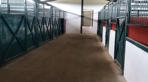 Foto 5 de Finca rústica en venda a Pilas, Sevilla