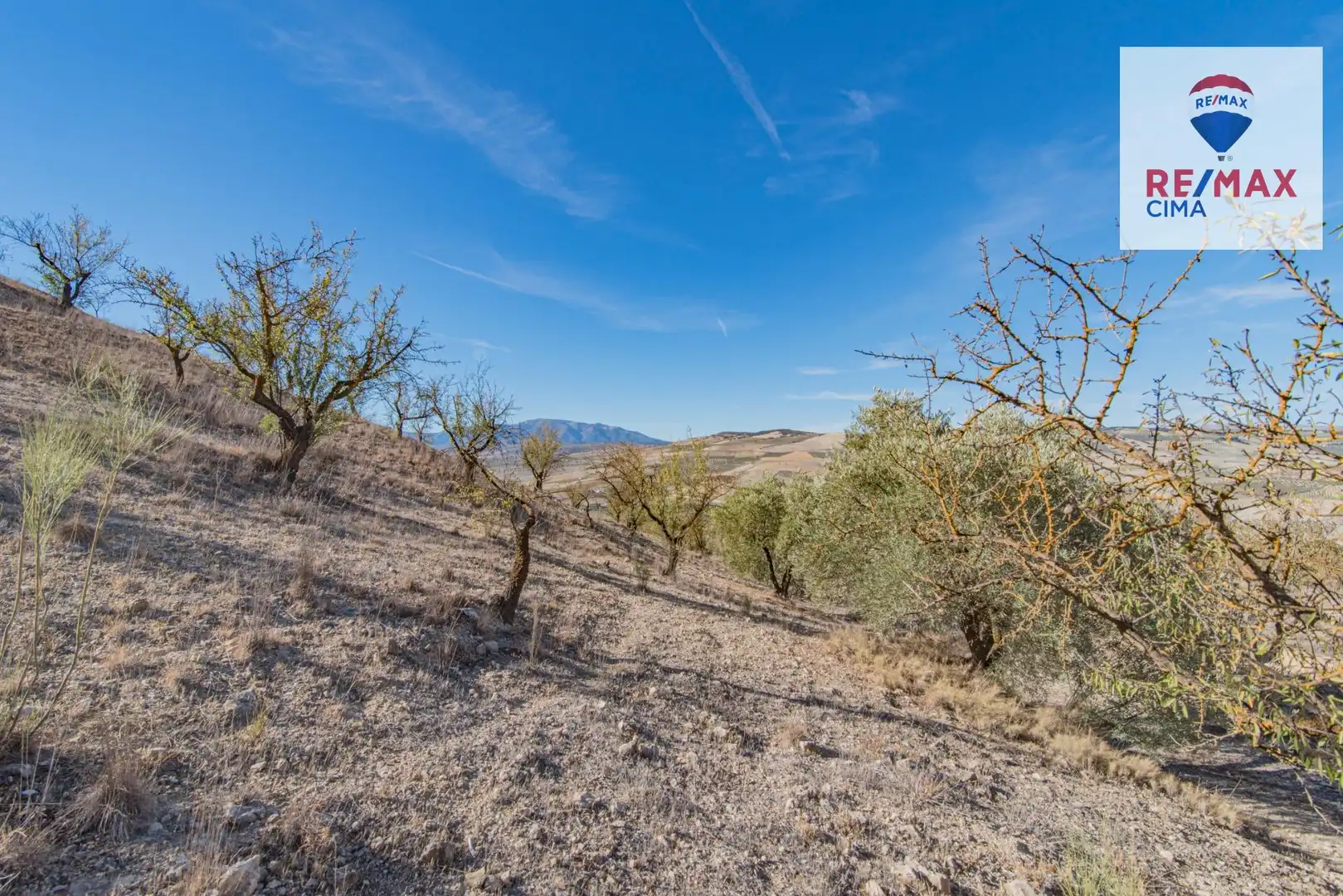 Terreno en venta en Santa Cruz del Comercio