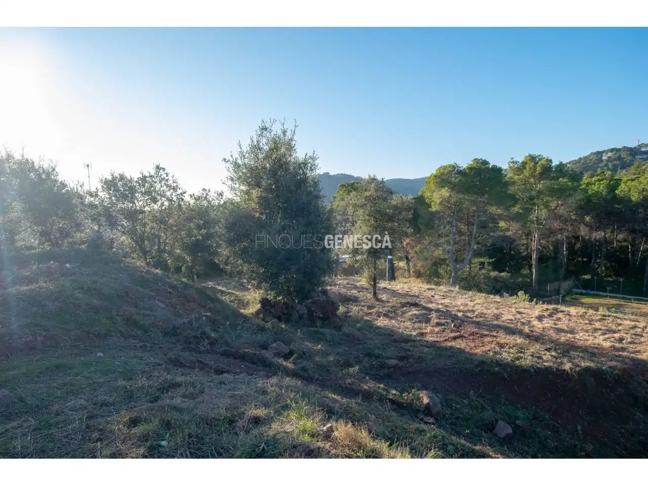 Terrain résidentiel à vendre à Calle Poeta Maragall 38, imagen 18