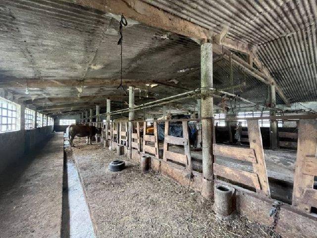 Terreno en Venta en Riotuerto