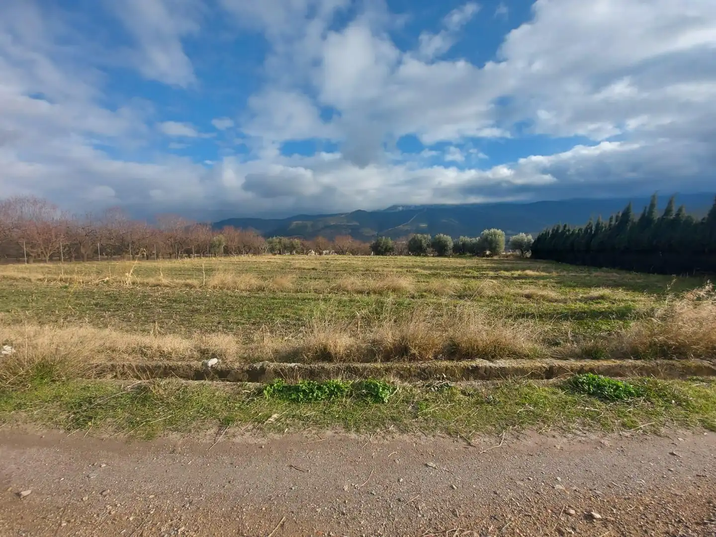 Rural land for sale in Laujar de Andarax, imagen 2