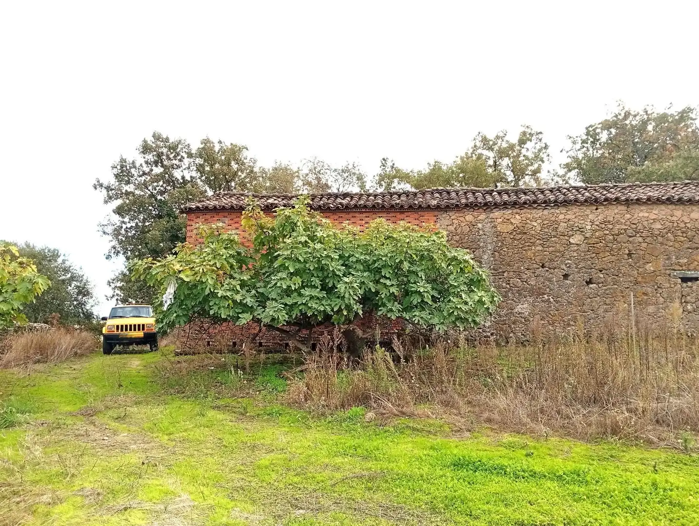 Terreni e lotti in vendita a Villanueva de la Vera