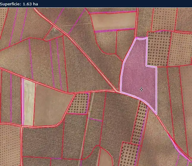 Rural land for sale in Valdepeñas, imagen 5