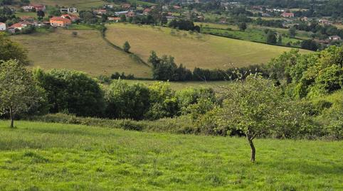 Photo 3 of Land for sale in Camín de Los Quintos, 500, Lavandera, Asturias