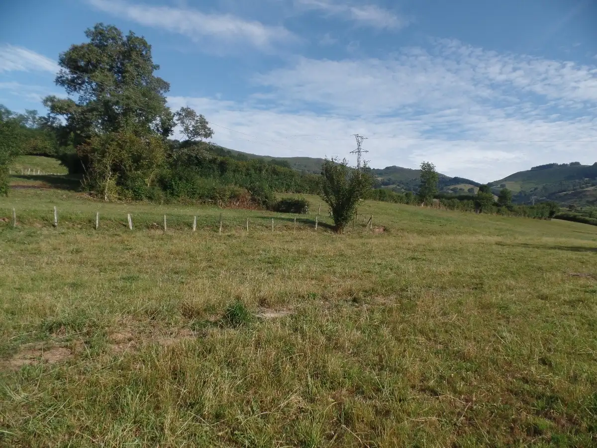 Wohnbaugrundstück zum Verkauf in Anievas, imagen 4