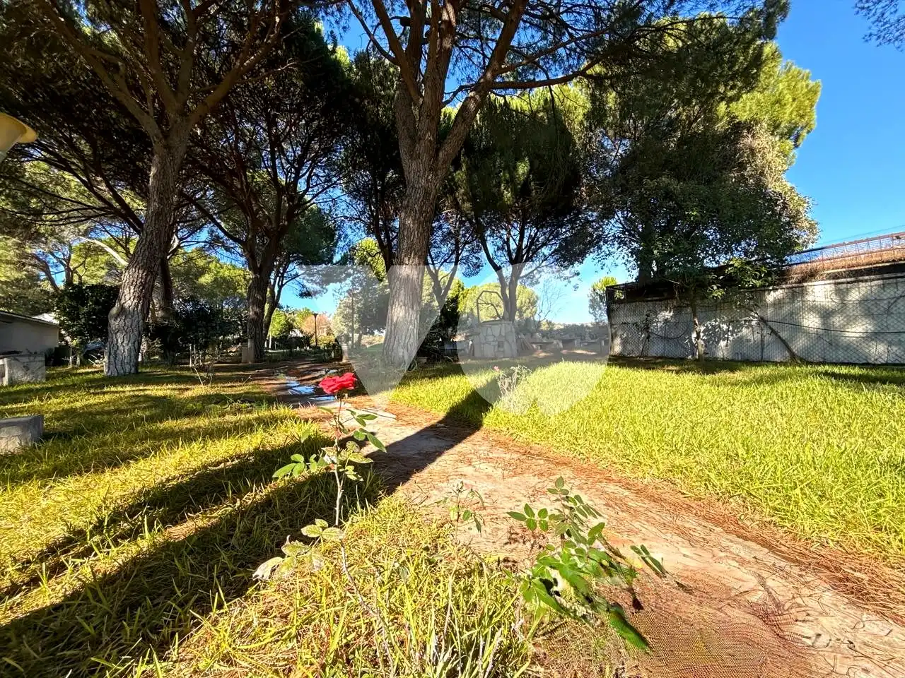 Jardín de Casa o chalet en venta en Ribatejada con Jardín privado, Terraza y Piscina