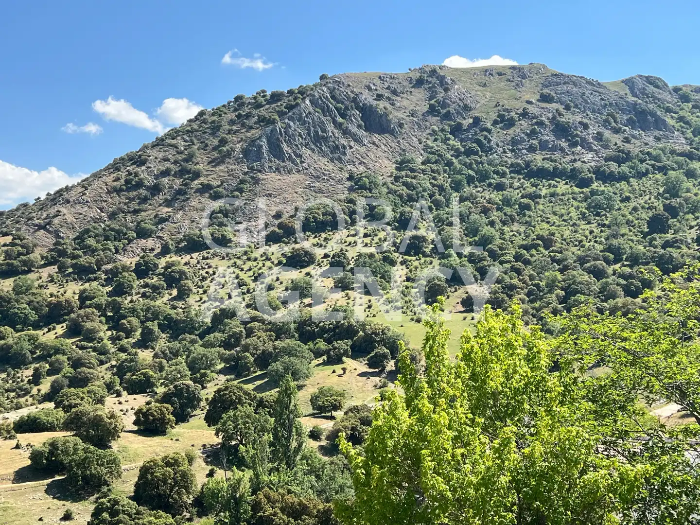 Terreny en venda en Jaén