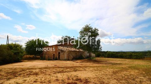 Foto 5 de Finca rústica en venda a Sils, Girona