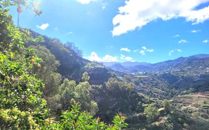 Vista exterior de Finca rústica en venda en Teror amb Jardí privat, Terrassa i Internet