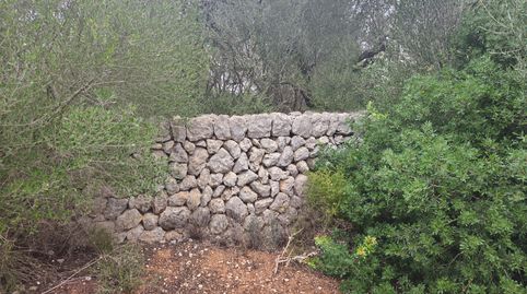 Acceso asfaltado, immagine 5