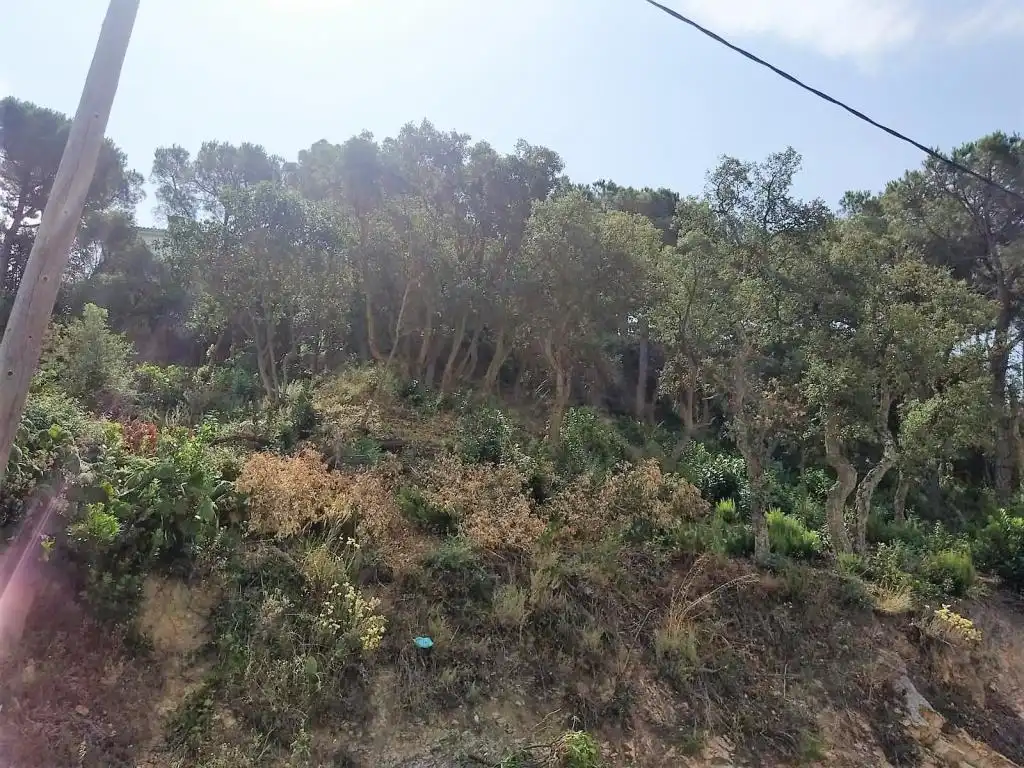 Terreno residencial en venta en Serra Brava, imagen 3