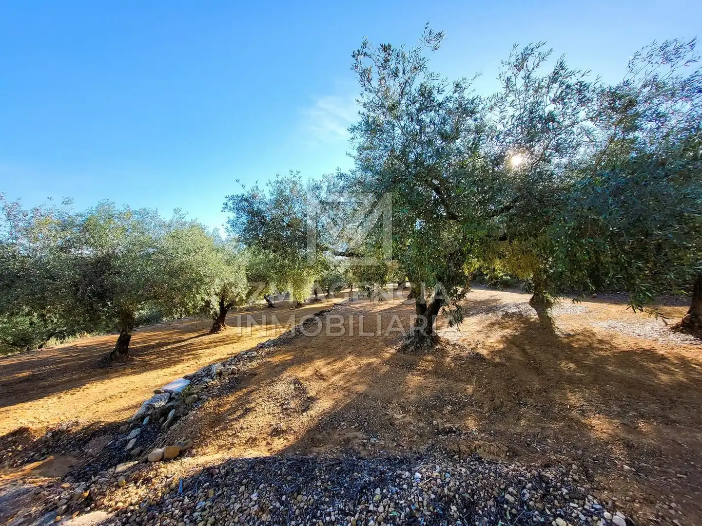 Casa rústica en venta en Traiguera, imagen 7