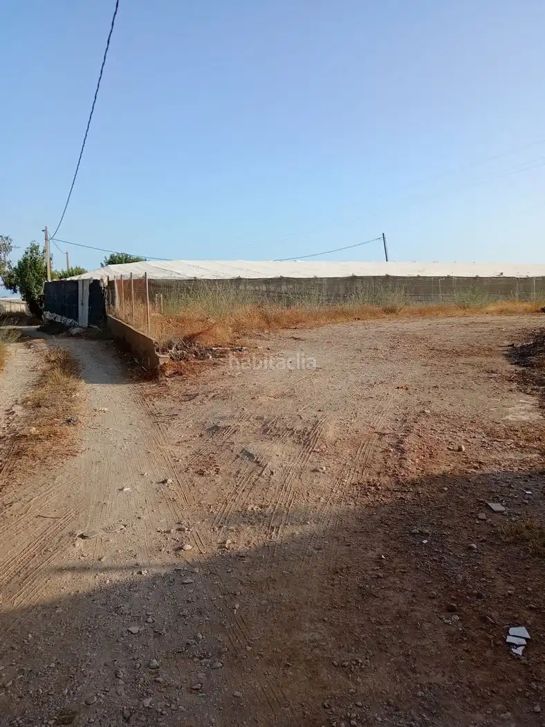 Rural land for sale in Calle Maimónides 137, imagen 2