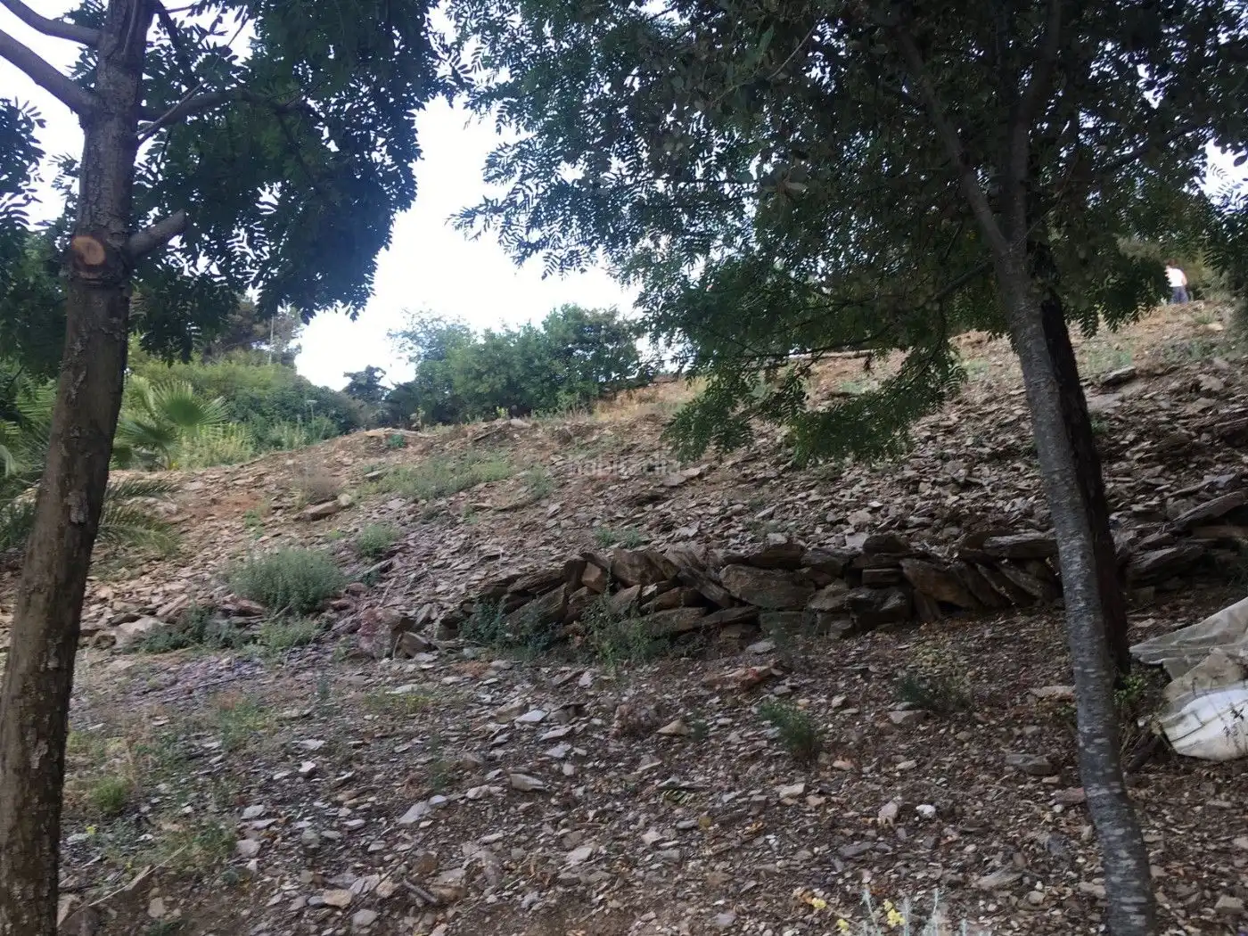 Terreny residencial en venda a Carrer de la Ginesta 42, imagen 12