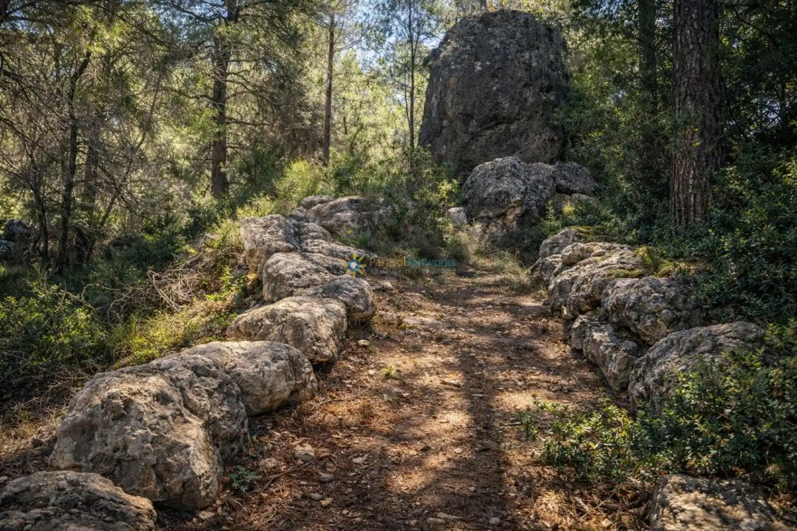 Vista exterior de Finca rústica en venda en Muro de Alcoy amb Jardí privat, Terrassa i Traster