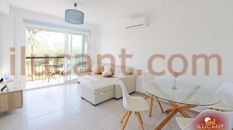 Foto 5 de Piso en venta en Cuatrocientas Viviendas, Alicante