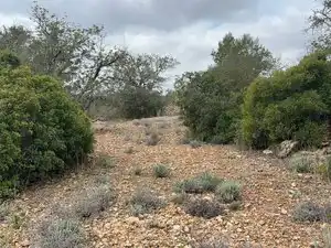 Terreno rustico in vendita a Carrer Major 22, imagen 8