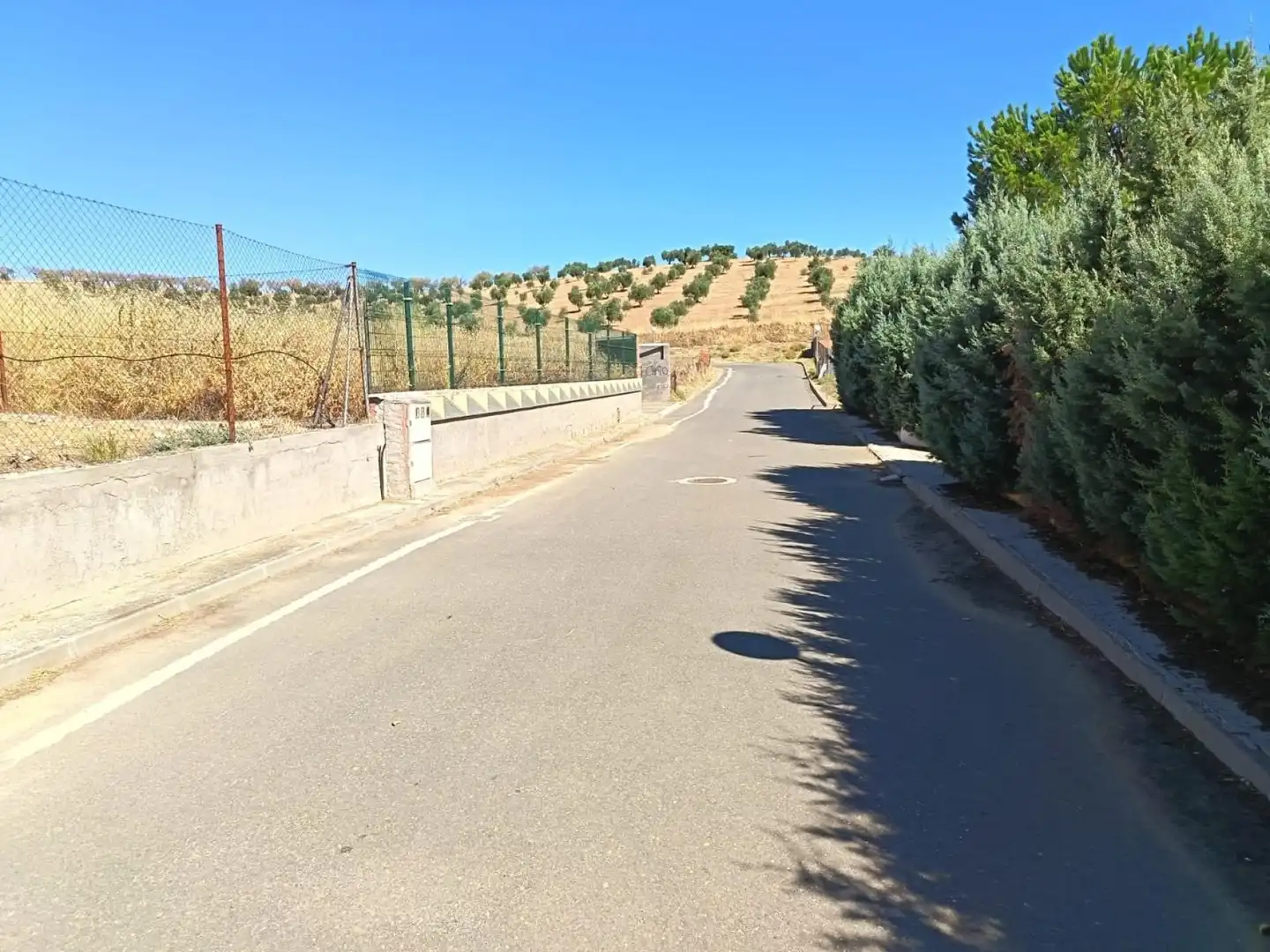 Vista exterior de Casa o chalet en venta en Albarreal de Tajo con Calefacción