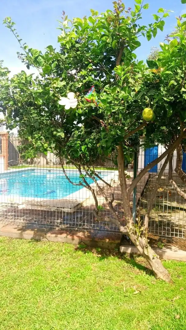 Chalet con piscina en venta en El Zabal - Santa Margarita, imagen 33