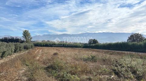 Photo 5 of Land for sale in Polideportivo, Alhendín