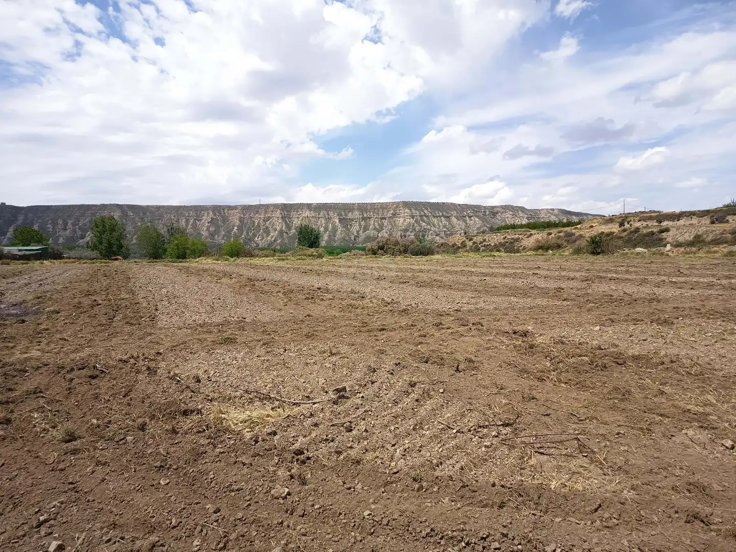 Terreno en venta en Fonelas
