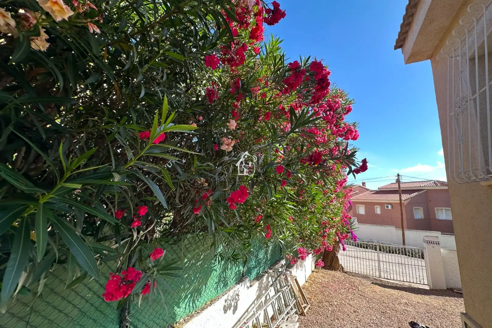 Jardí de Casa o xalet de lloguer en Rojales amb Aire condicionat, Jardí privat i Terrassa