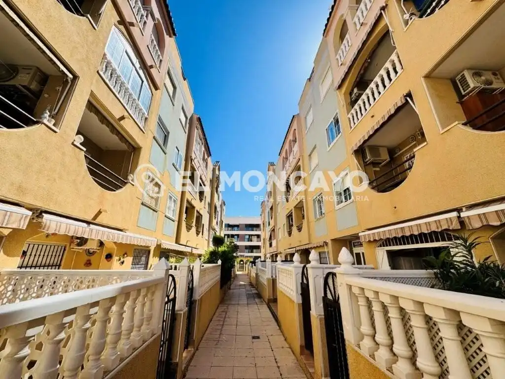 Apartament amb piscina en venda a La Mata, imagen 16