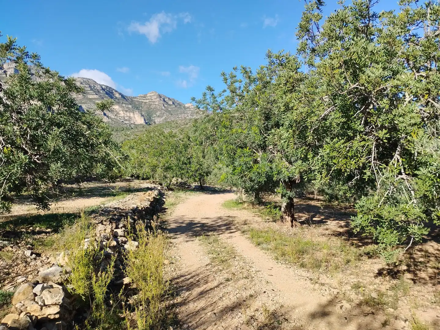 Terreno rustico in vendita a Carrer Camí del Llop 46, imagen 9