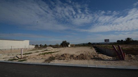 Foto 4 de Terreno industrial en venta en Bigastro, Alicante