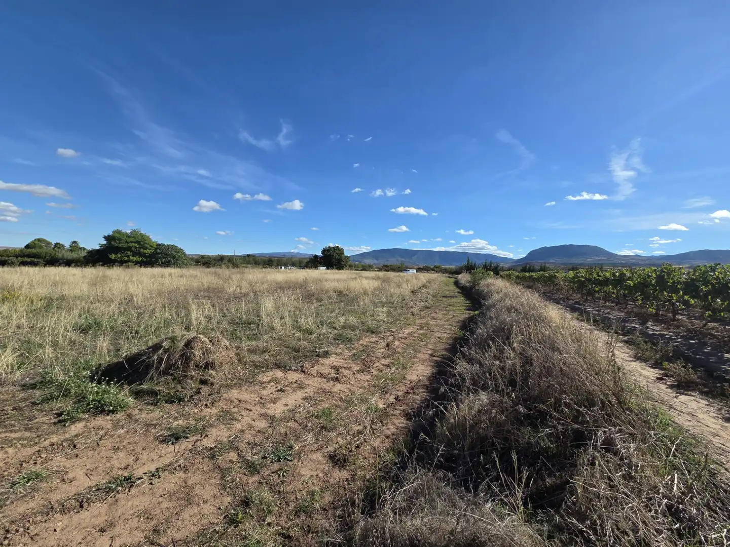 Terrain rustique à vendre à Alberite, imagen 15
