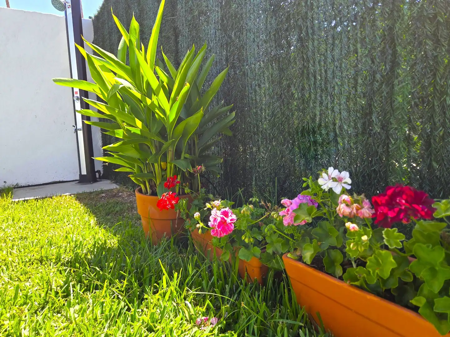 Jardí de Casa o xalet de lloguer en Maspalomas - Meloneras