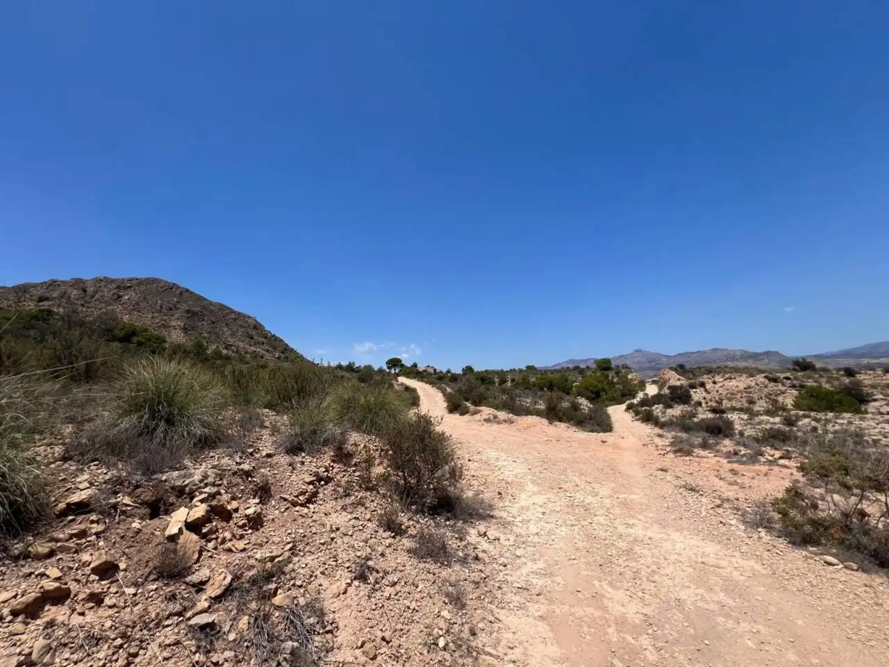 Finca rústica en venda en Alicante / Alacant