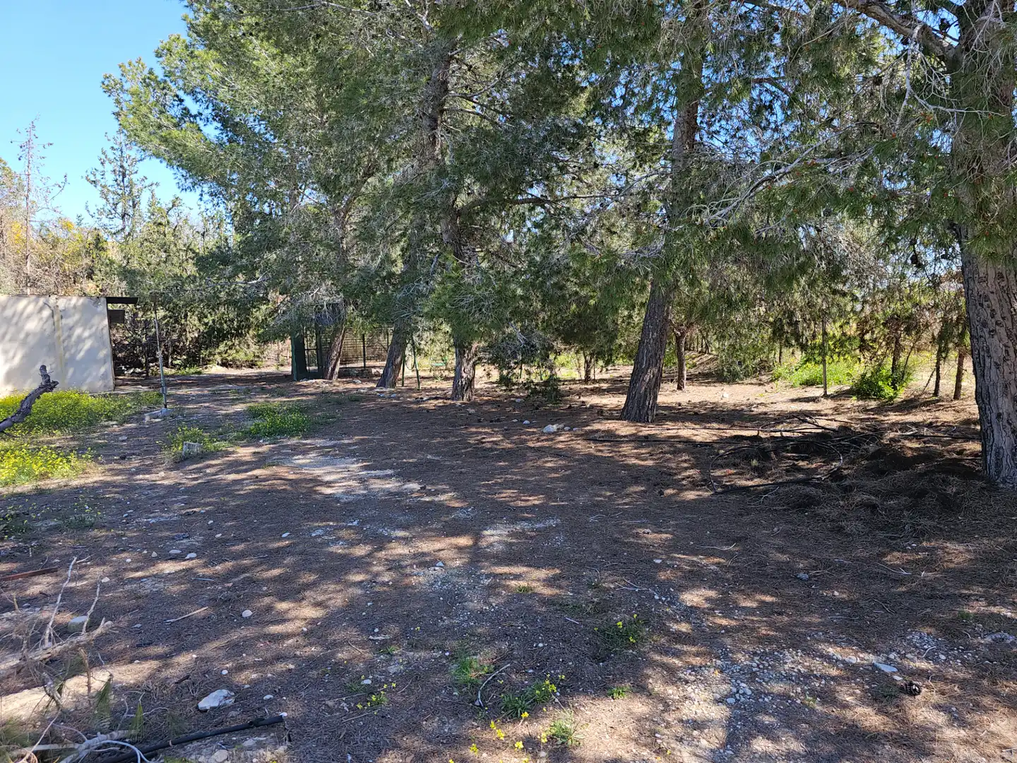 Houses for rent to own in Molina de Segura  with Private garden, Furnished and Oven