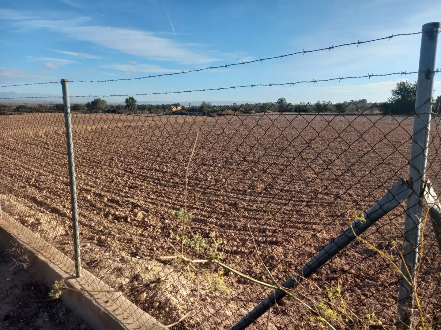 Terrain rustique à vendre à Elche ciudad