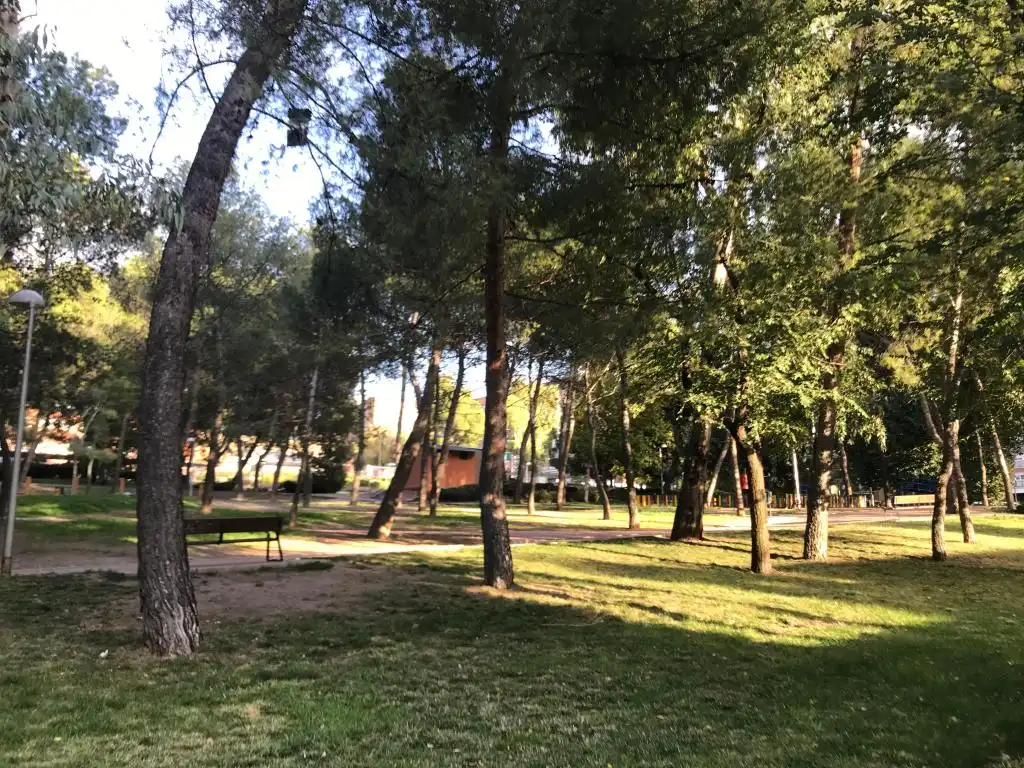 Jardín de Local en venta en Madrid