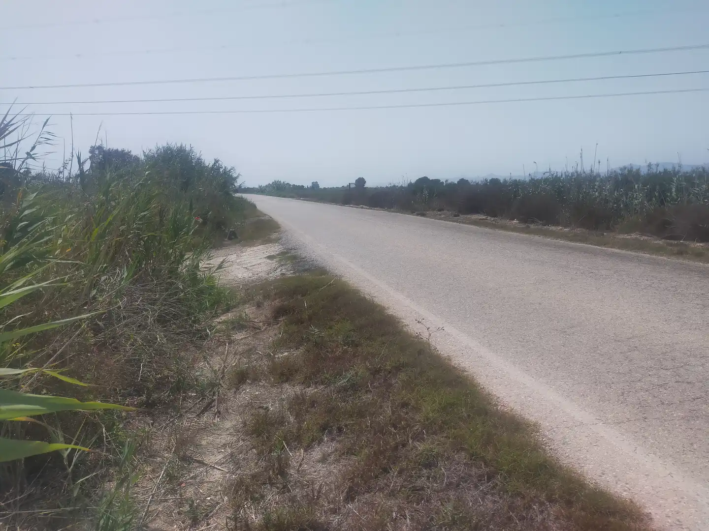 Terrain rustique à vendre à La Foia - Daimés - Asprella, imagen 3