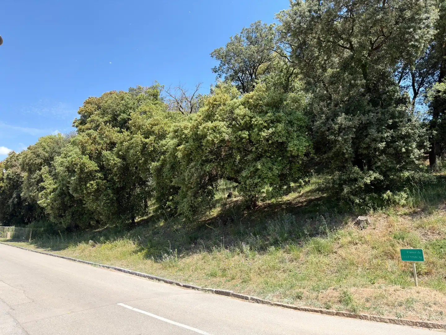 Lands and plots for sale in Carrer de Sant Bernat 7, imagen 9