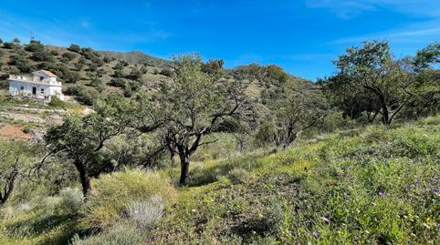 Foto 2 von Grundstücke zum Verkauf in Olías, Málaga Capital