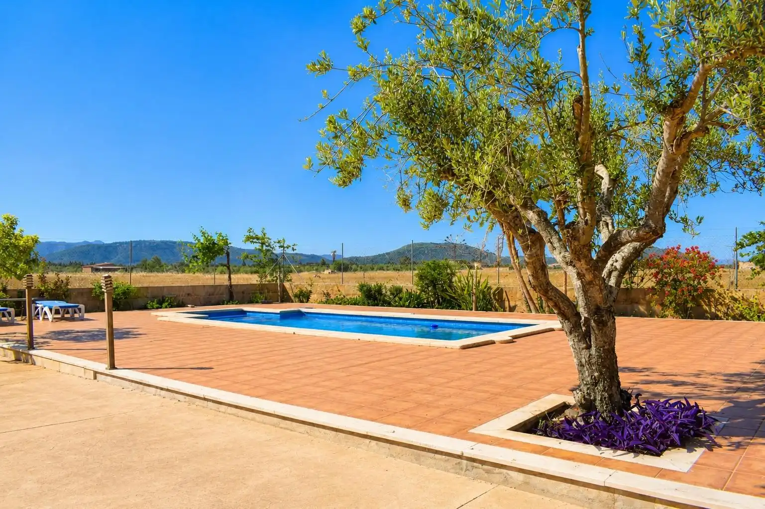 Piscina de Finca rústica de alquiler en Muro con Piscina