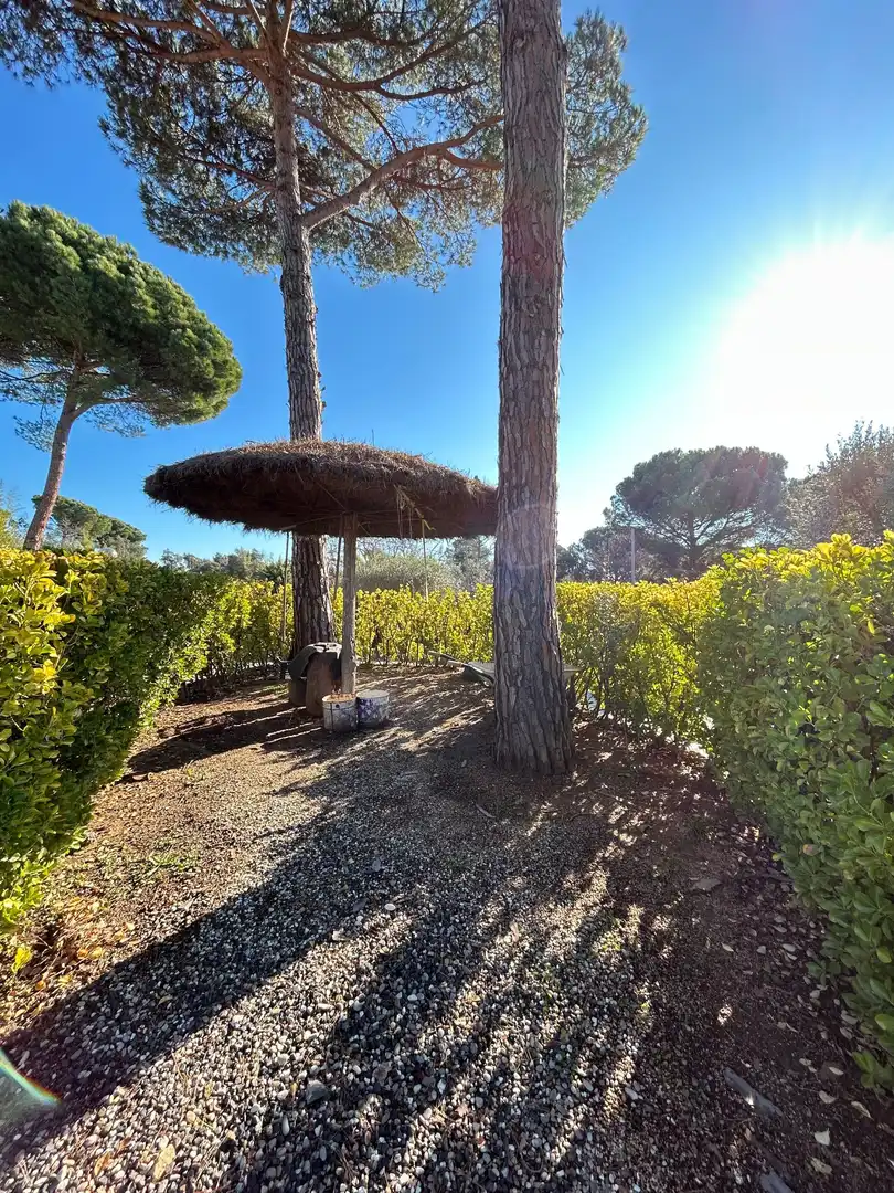 Jardín de Casa o chalet en venta en Santa Coloma de Farners con Calefacción, Jardín privado y Terraza