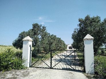 Terreno rustico in vendita a DS Pago Los Tercio