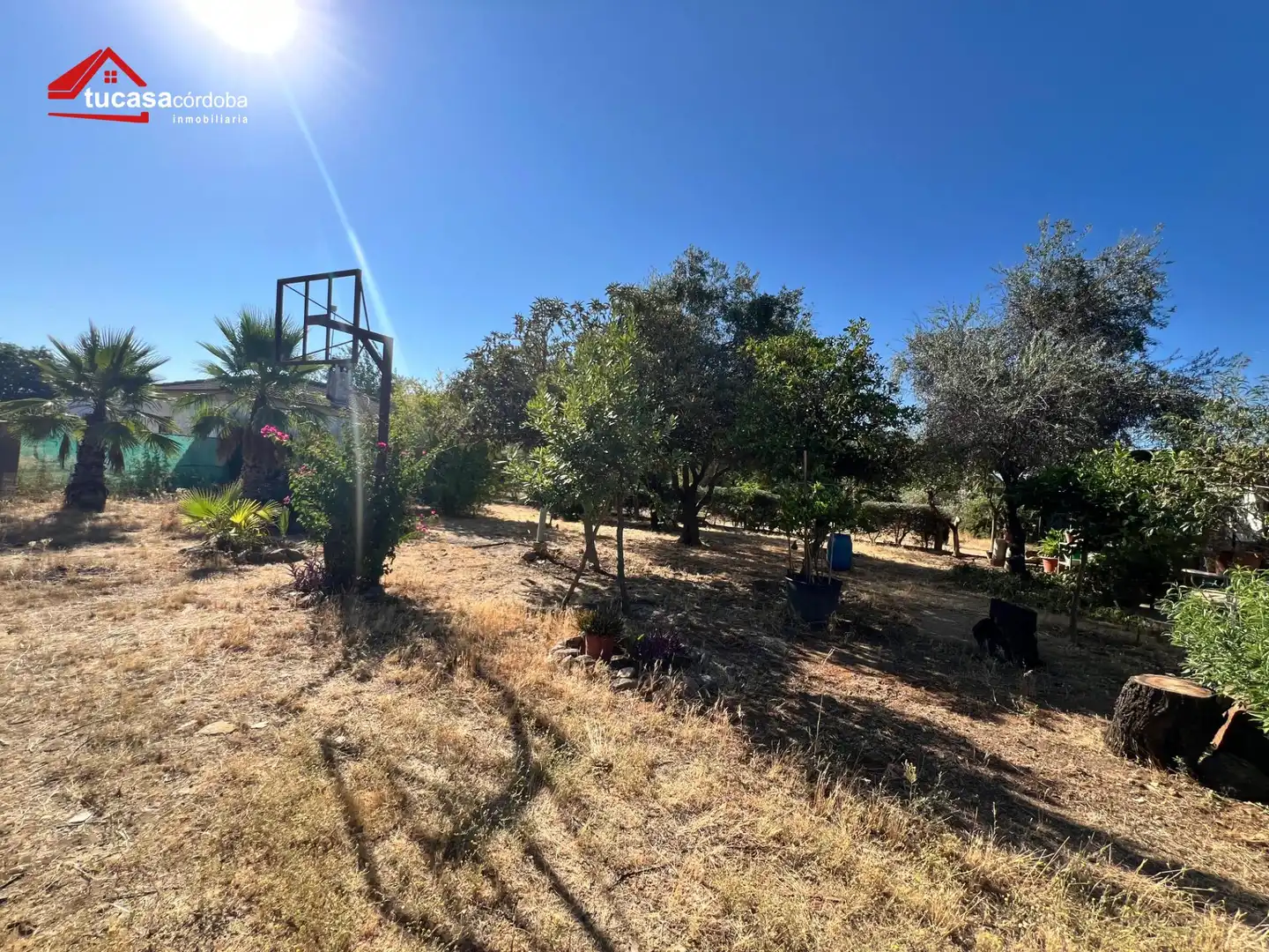 Casa rústica en venda a Almodóvar del Río, imagen 14