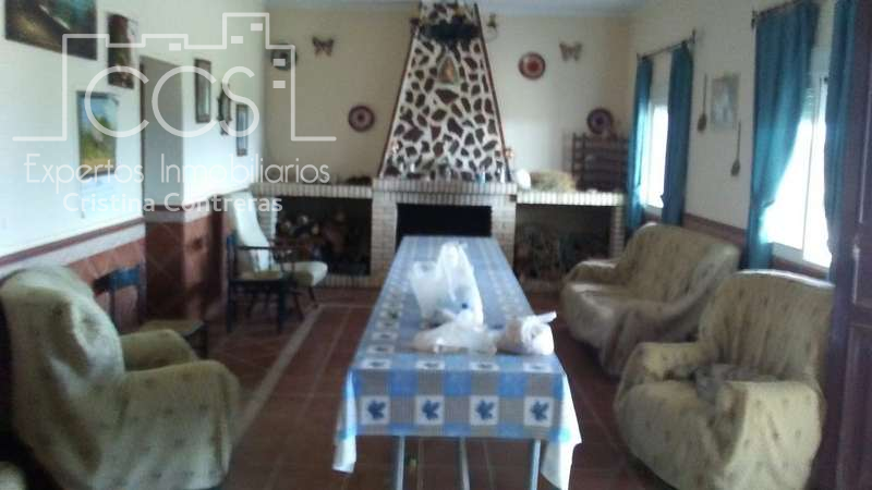 Sala de estar de Finca rústica en venta en Almonte