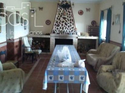 Sala d'estar de Finca rústica en venda en Almonte