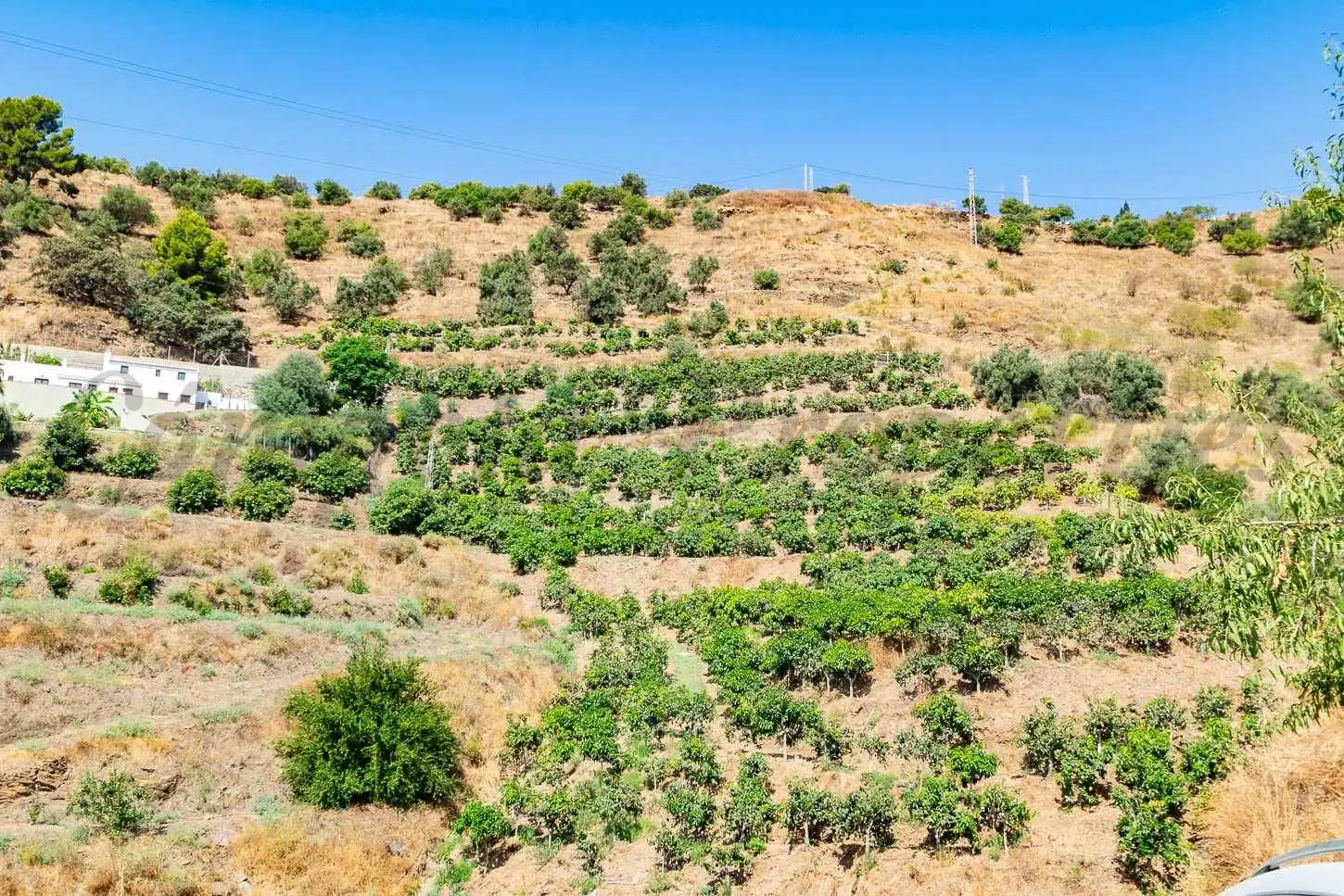 Rustikales Grundstück zum Verkauf in Torrox Pueblo, imagen 2