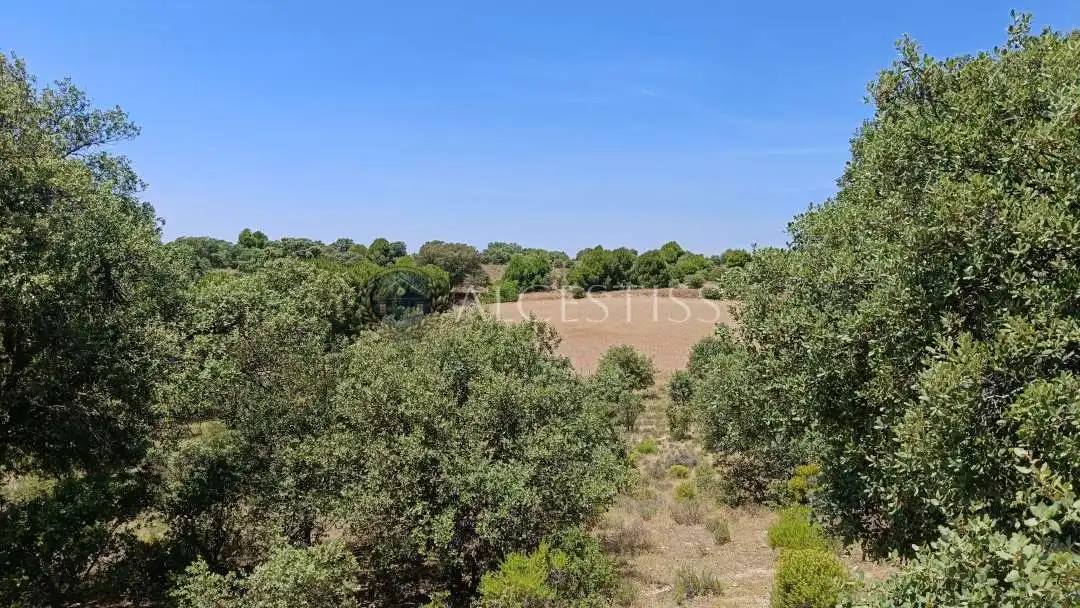 Terreno en venta en La Torre de Esteban Hambrán