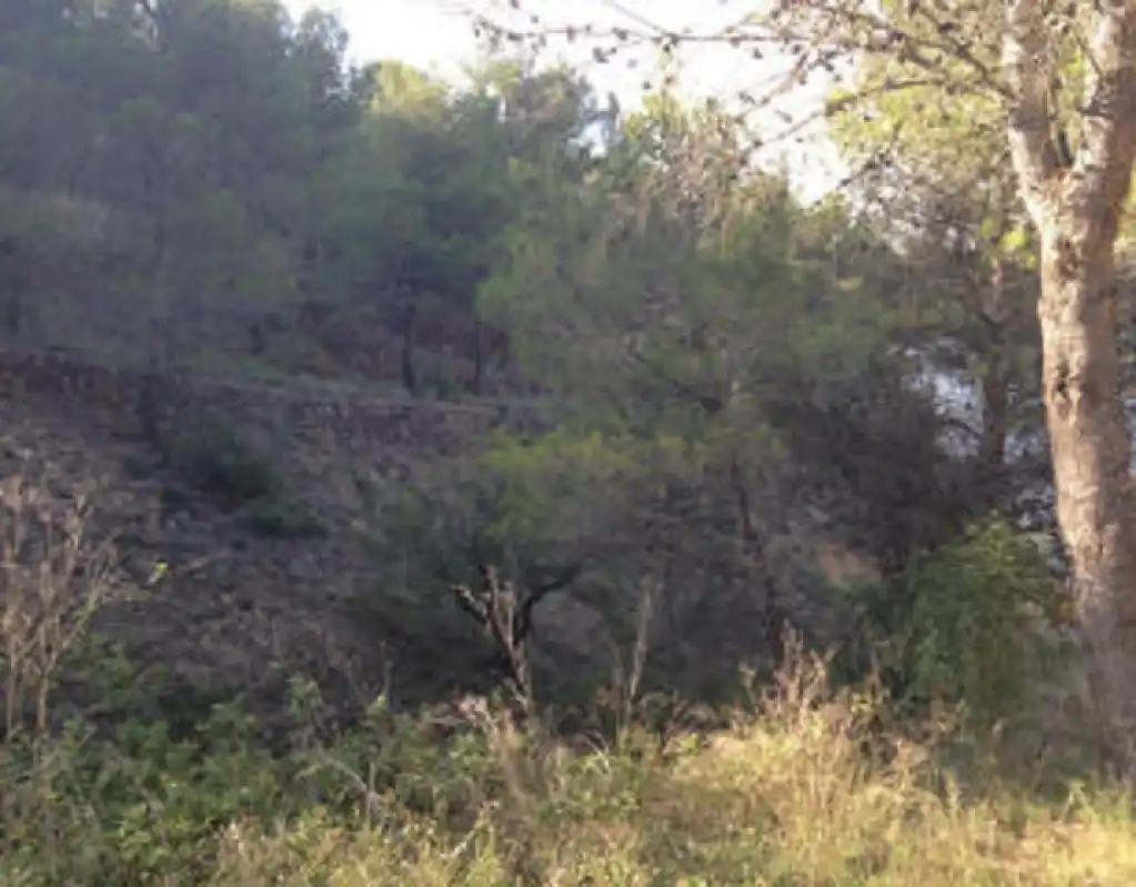 Terreny rústic en venda a AGUILAS, imagen 3