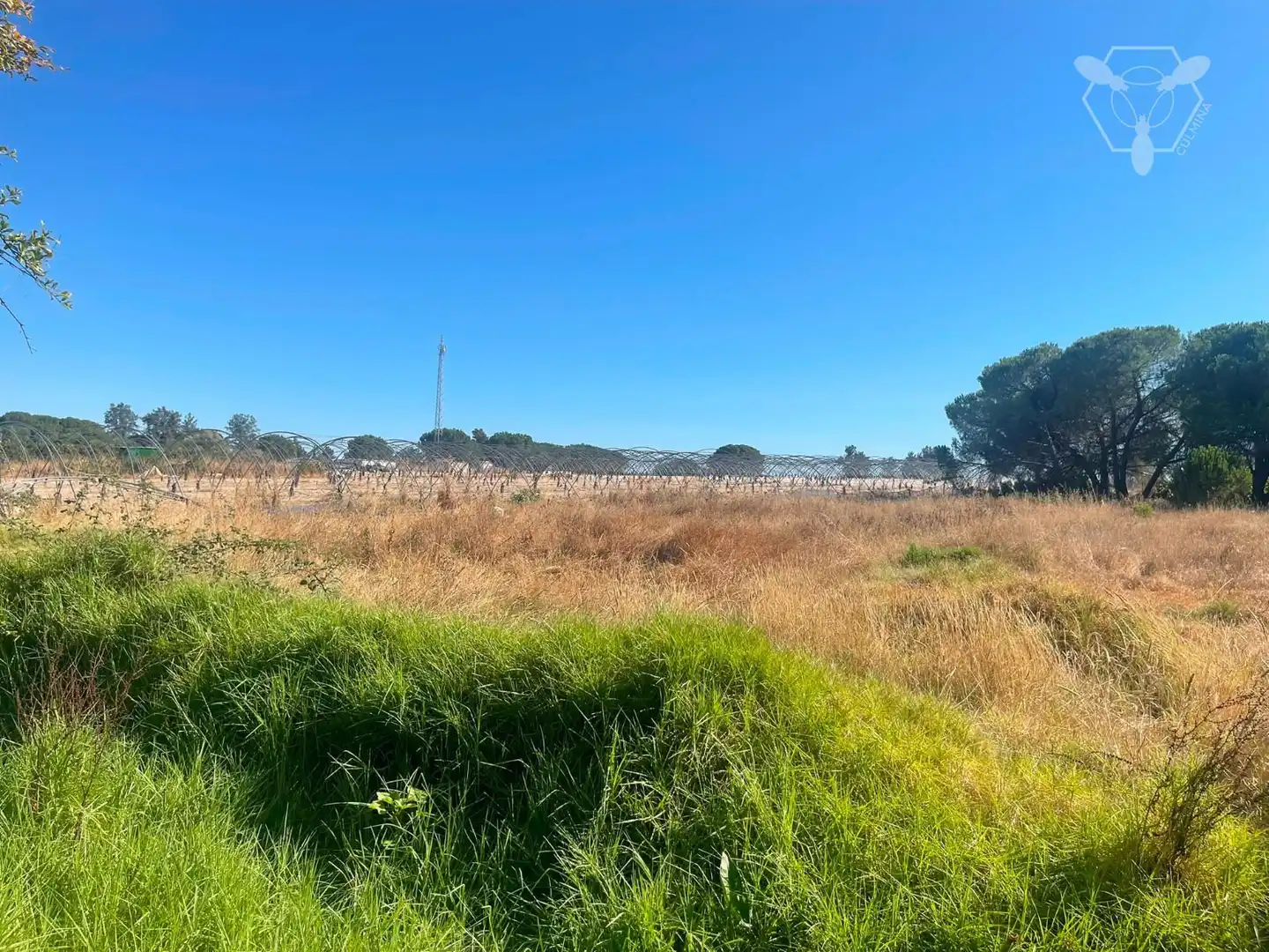 Chalet en venta en Bonares, imagen 17