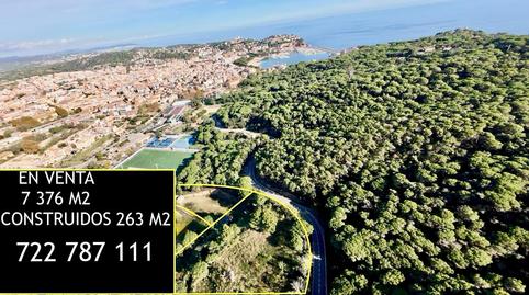 Photo 4 of Land for sale in Mas Trempat - Sant Amanç - Casa Nova, Girona